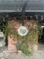 OUTDOOR DIRECT WALL - Image 7